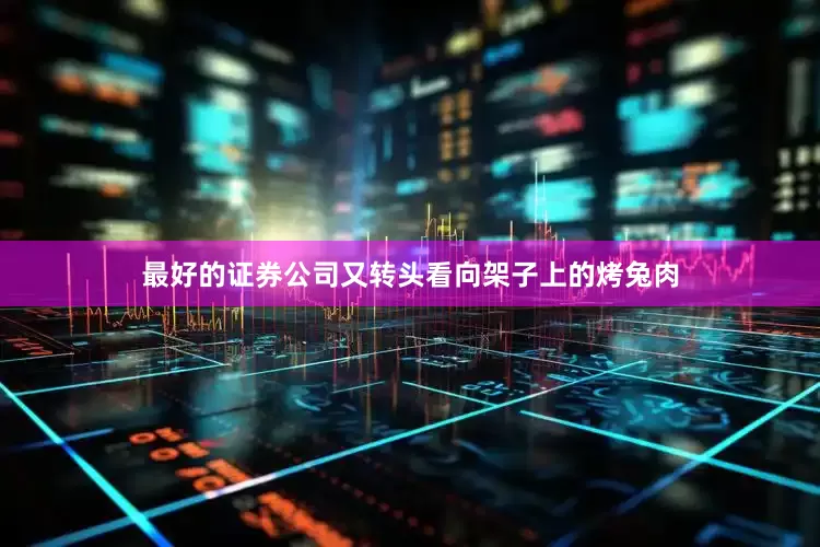 最好的证券公司又转头看向架子上的烤兔肉