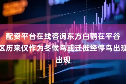 配资平台在线咨询东方白鹳在平谷区历来仅作为冬候鸟或迁徙经停鸟出现