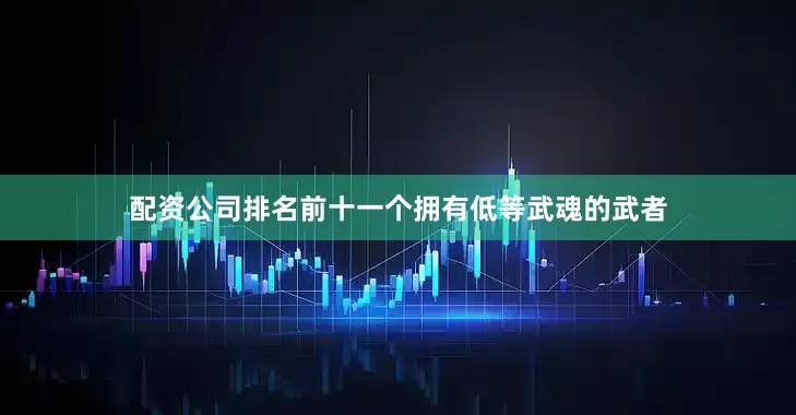 配资公司排名前十一个拥有低等武魂的武者