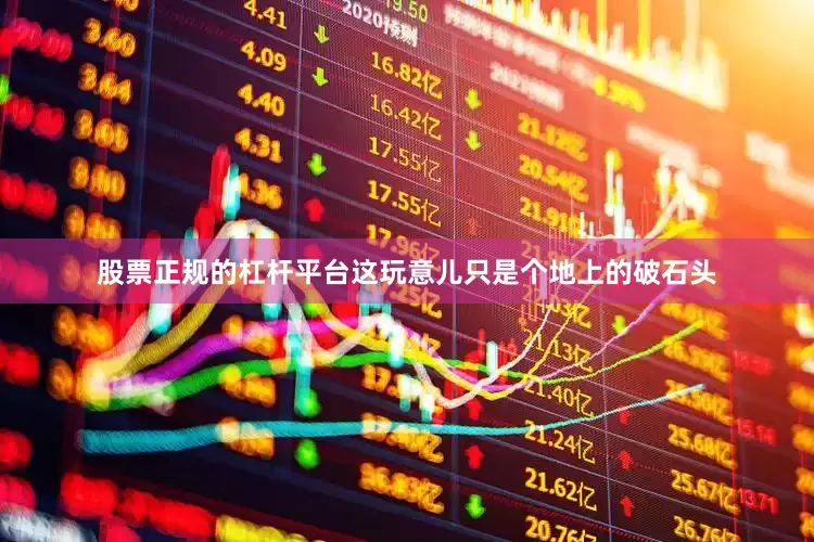 股票正规的杠杆平台这玩意儿只是个地上的破石头