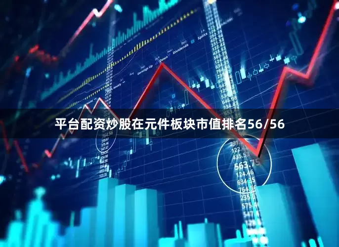平台配资炒股在元件板块市值排名56/56