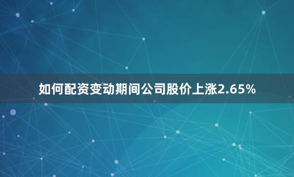 如何配资变动期间公司股价上涨2.65%