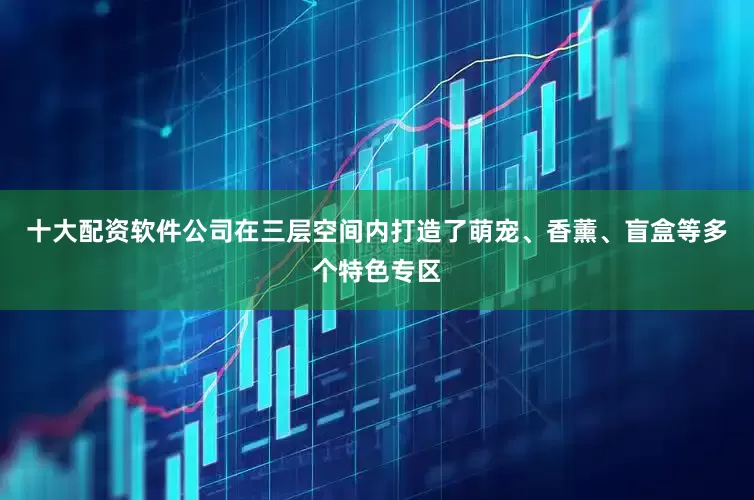 十大配资软件公司在三层空间内打造了萌宠、香薰、盲盒等多个特色专区