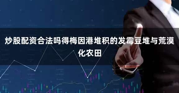 炒股配资合法吗得梅因港堆积的发霉豆堆与荒漠化农田